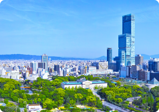 青空と緑が広がる街の風景